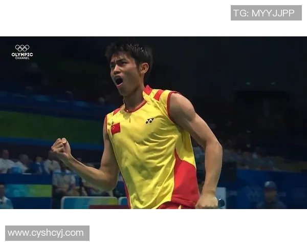 林丹与李宗伟巅峰对决精彩扣杀瞬间回顾与分析