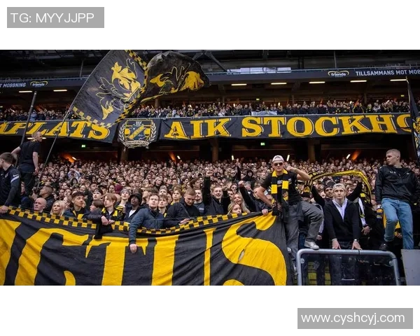 AIK索尔纳对阵卡尔马精彩直播全程回顾与赛后分析 AIK索尔纳对阵卡尔马精彩直播全程回顾与赛后分析