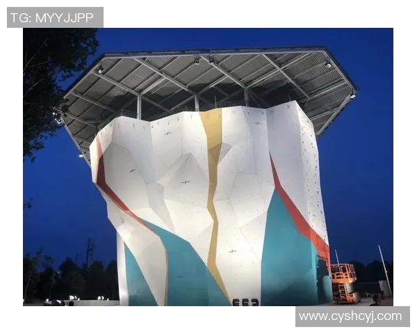 北京极限运动队包夹现象解析及其对运动发展的影响MBA