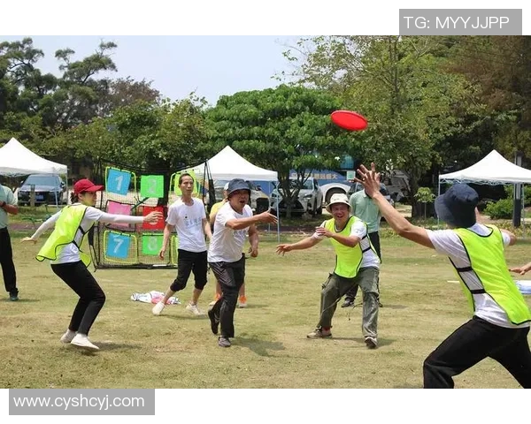 飞盘深度探索重庆飞盘队的战术转换与团队协作之道MBA