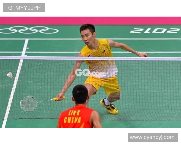 深圳羽毛球队与武汉羽毛球队赛后复盘分析团队配合与战术执行的关键因素