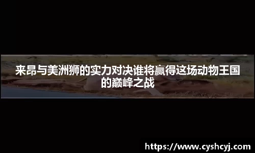 来昂与美洲狮的实力对决谁将赢得这场动物王国的巅峰之战