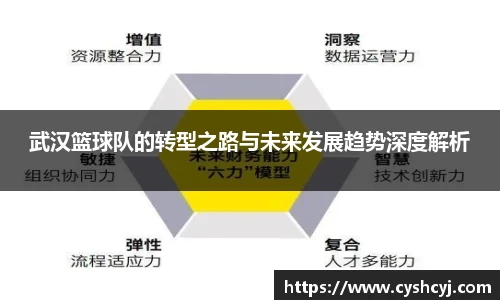 武汉篮球队的转型之路与未来发展趋势深度解析